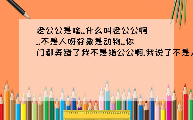 老公公是啥..什么叫老公公啊..不是人呀好象是动物..你门都弄错了我不是指公公啊.我说了不是人嘛..是个小动物..