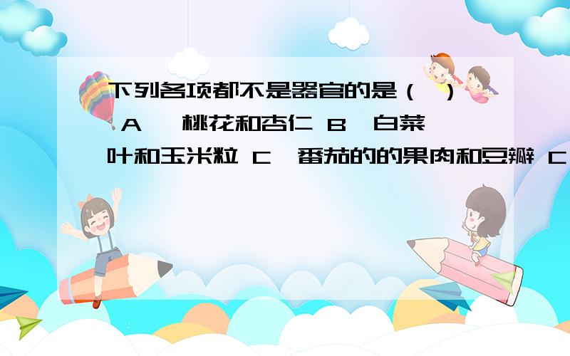 下列各项都不是器官的是（ ） A、 桃花和杏仁 B、白菜叶和玉米粒 C、番茄的的果肉和豆瓣 C、树根和树枝