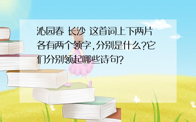 沁园春 长沙 这首词上下两片各有两个领字,分别是什么?它们分别领起哪些诗句?