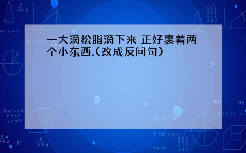 一大滴松脂滴下来 正好裹着两个小东西.(改成反问句)