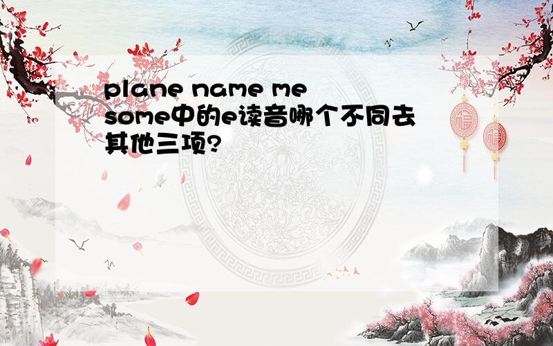 plane name me some中的e读音哪个不同去其他三项?