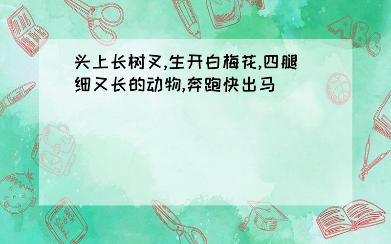 头上长树叉,生开白梅花,四腿细又长的动物,奔跑快出马