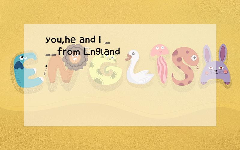 you,he and I ___from England.