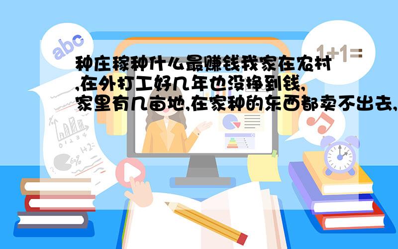 种庄稼种什么最赚钱我家在农村,在外打工好几年也没挣到钱,家里有几亩地,在家种的东西都卖不出去,想请教您之个招 .谢谢!我