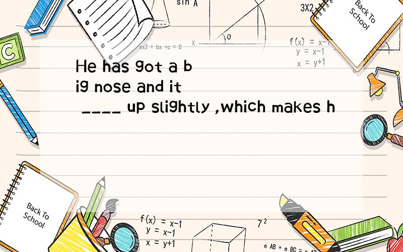 He has got a big nose and it ____ up slightly ,which makes h