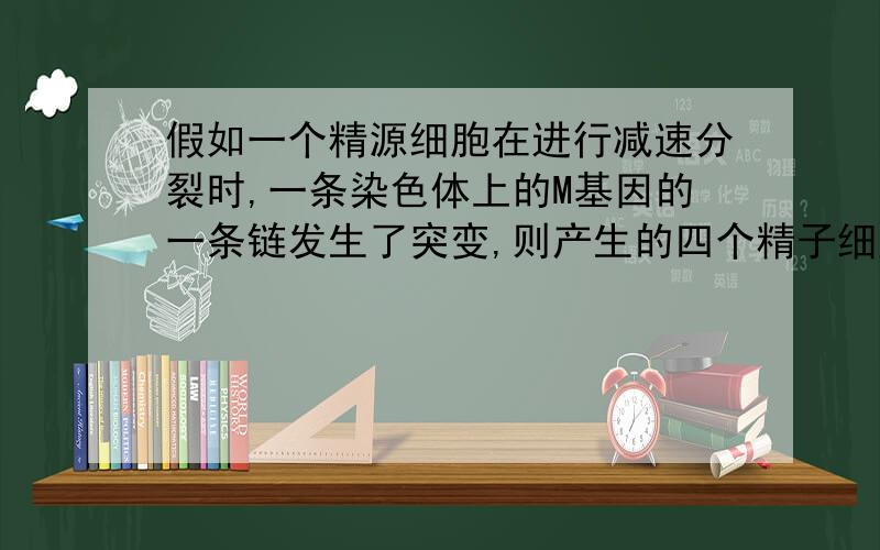 假如一个精源细胞在进行减速分裂时,一条染色体上的M基因的一条链发生了突变,则产生的四个精子细胞中,