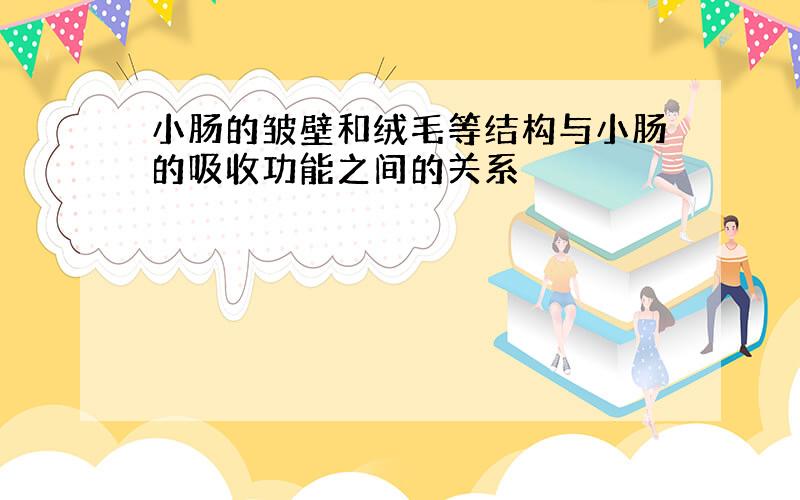 小肠的皱壁和绒毛等结构与小肠的吸收功能之间的关系