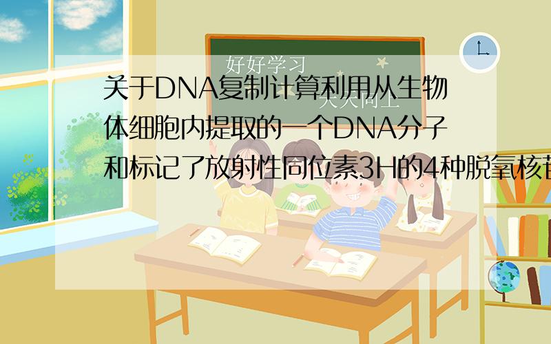 关于DNA复制计算利用从生物体细胞内提取的一个DNA分子和标记了放射性同位素3H的4种脱氧核苷酸,在实验室里合成新的DN