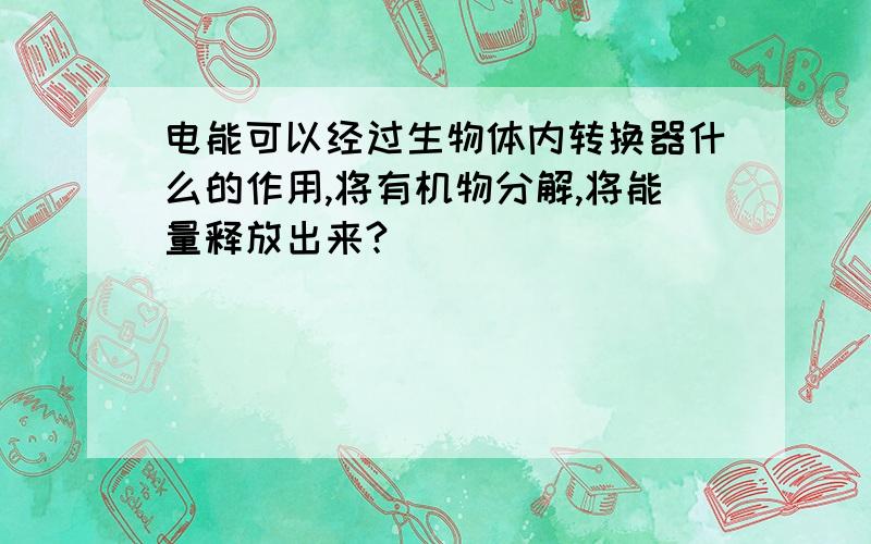 电能可以经过生物体内转换器什么的作用,将有机物分解,将能量释放出来?