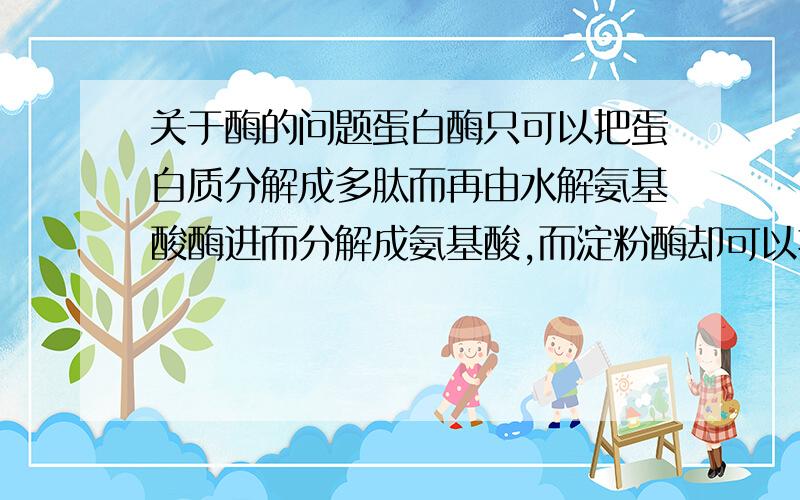 关于酶的问题蛋白酶只可以把蛋白质分解成多肽而再由水解氨基酸酶进而分解成氨基酸,而淀粉酶却可以把淀粉直接分解成葡萄糖?我知