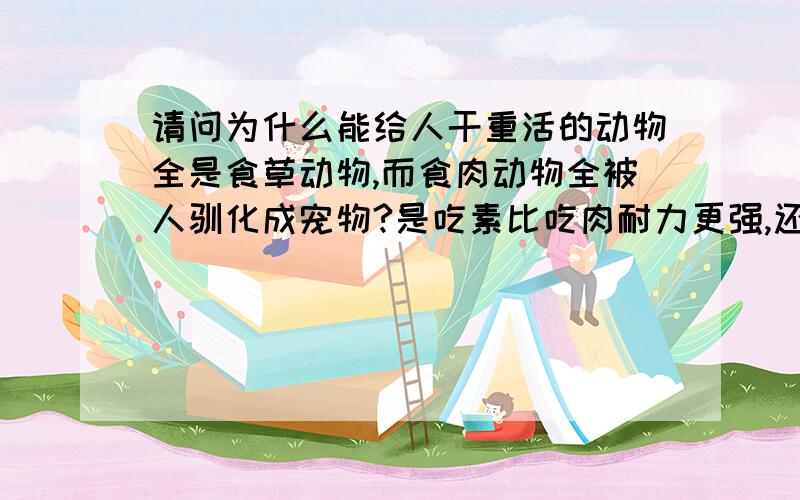 请问为什么能给人干重活的动物全是食草动物,而食肉动物全被人驯化成宠物?是吃素比吃肉耐力更强,还是…