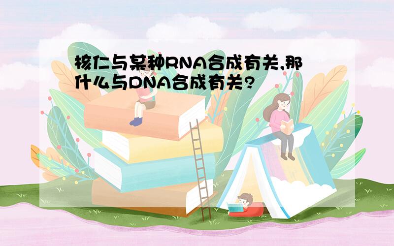 核仁与某种RNA合成有关,那什么与DNA合成有关?