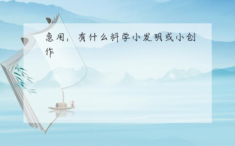 急用：有什么科学小发明或小创作