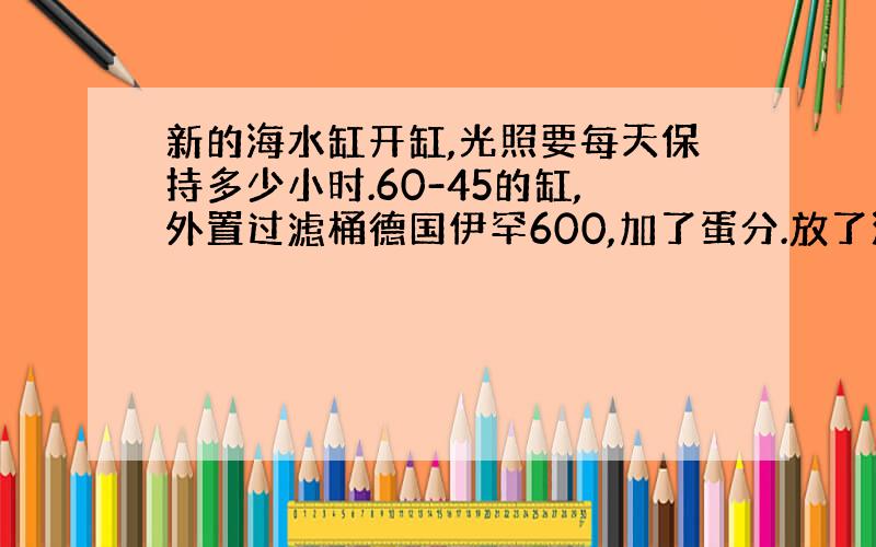 新的海水缸开缸,光照要每天保持多少小时.60-45的缸,外置过滤桶德国伊罕600,加了蛋分.放了活石.