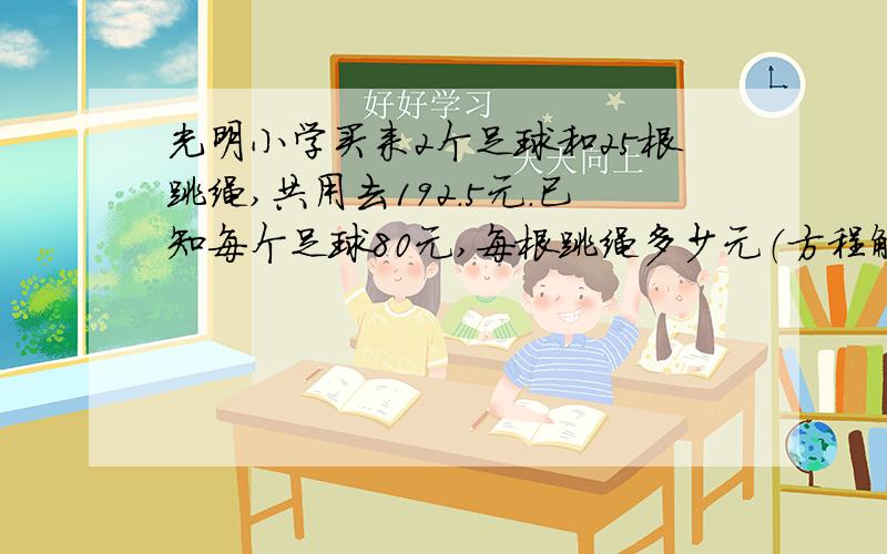 光明小学买来2个足球和25根跳绳,共用去192.5元.已知每个足球80元,每根跳绳多少元（方程解的全过程）