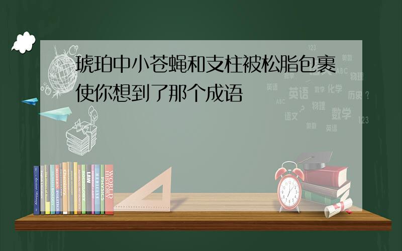 琥珀中小苍蝇和支柱被松脂包裹使你想到了那个成语