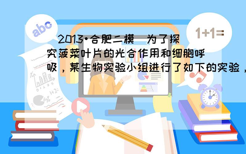 （2013•合肥二模）为了探究菠菜叶片的光合作用和细胞呼吸，某生物实验小组进行了如下的实验，操作流程及记录结果如下图表（