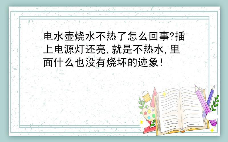 电水壶烧水不热了怎么回事?插上电源灯还亮,就是不热水,里面什么也没有烧坏的迹象!