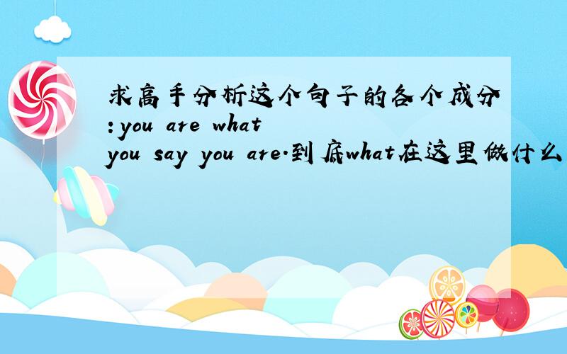 求高手分析这个句子的各个成分：you are what you say you are.到底what在这里做什么成分?