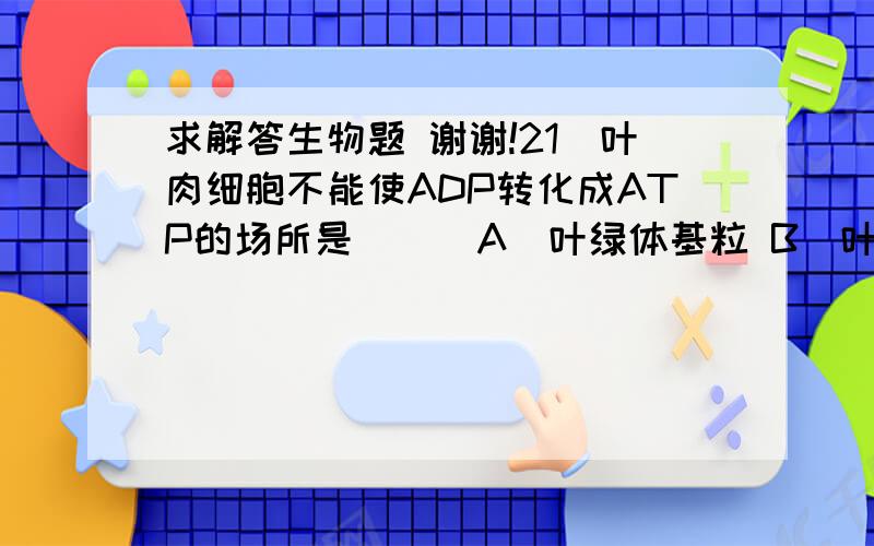 求解答生物题 谢谢!21．叶肉细胞不能使ADP转化成ATP的场所是（ ） A．叶绿体基粒 B．叶绿体基质 C．线粒体 D