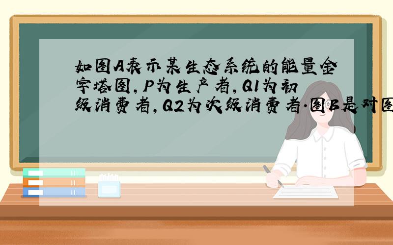 如图A表示某生态系统的能量金字塔图，P为生产者，Q1为初级消费者，Q2为次级消费者.图B是对图A中的各营养级所含有的能量