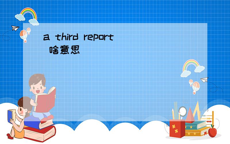 a third report 啥意思