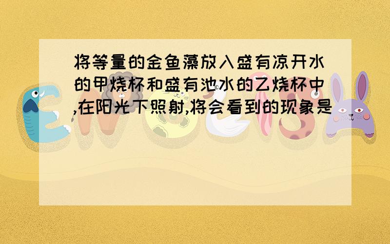 将等量的金鱼藻放入盛有凉开水的甲烧杯和盛有池水的乙烧杯中,在阳光下照射,将会看到的现象是（ ）