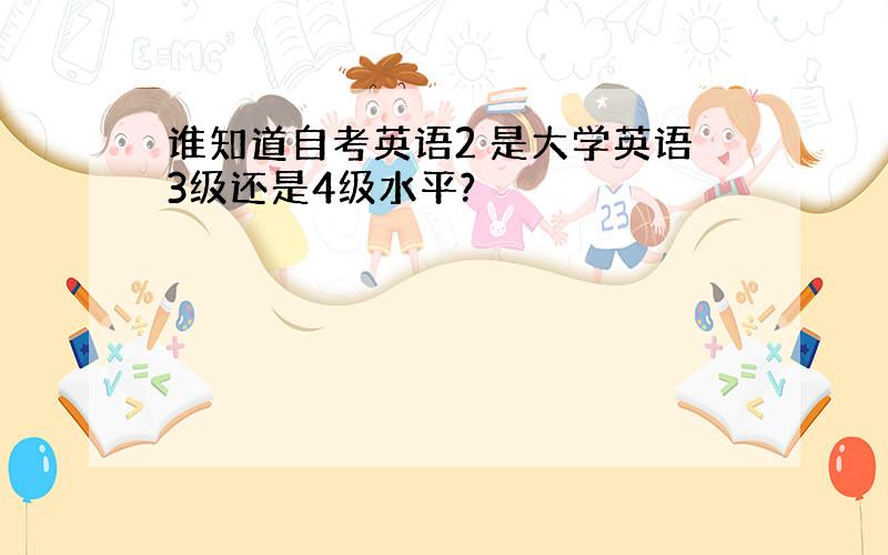 谁知道自考英语2 是大学英语3级还是4级水平?