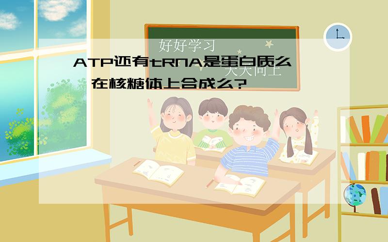 ATP还有tRNA是蛋白质么,在核糖体上合成么?