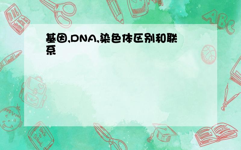 基因,DNA,染色体区别和联系