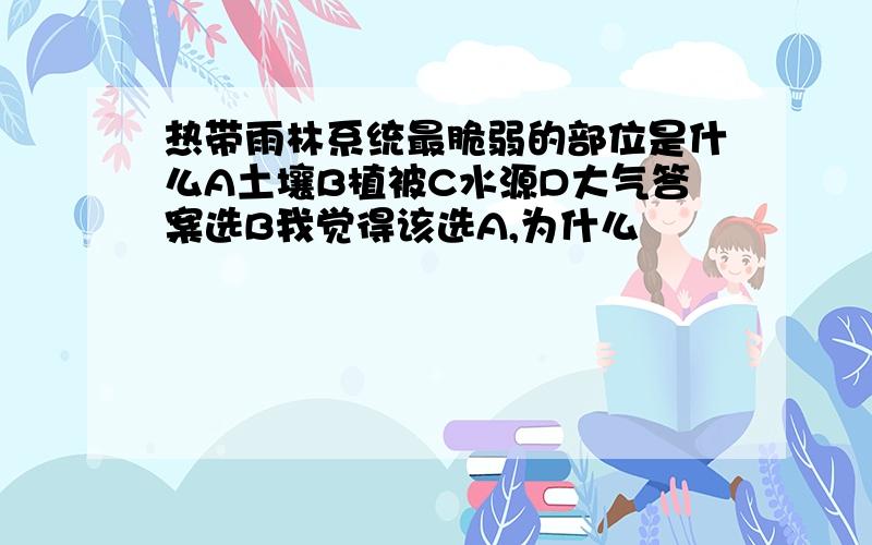 热带雨林系统最脆弱的部位是什么A土壤B植被C水源D大气答案选B我觉得该选A,为什么