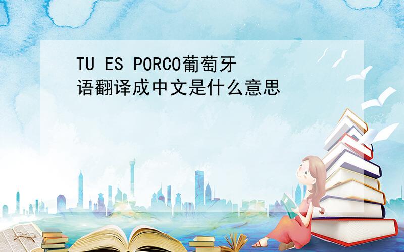 TU ES PORCO葡萄牙语翻译成中文是什么意思