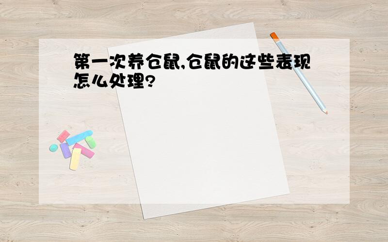 第一次养仓鼠,仓鼠的这些表现怎么处理?