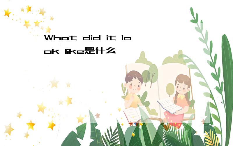 What did it look like是什么