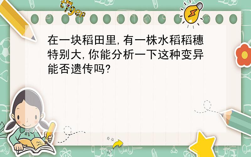 在一块稻田里,有一株水稻稻穗特别大,你能分析一下这种变异能否遗传吗?