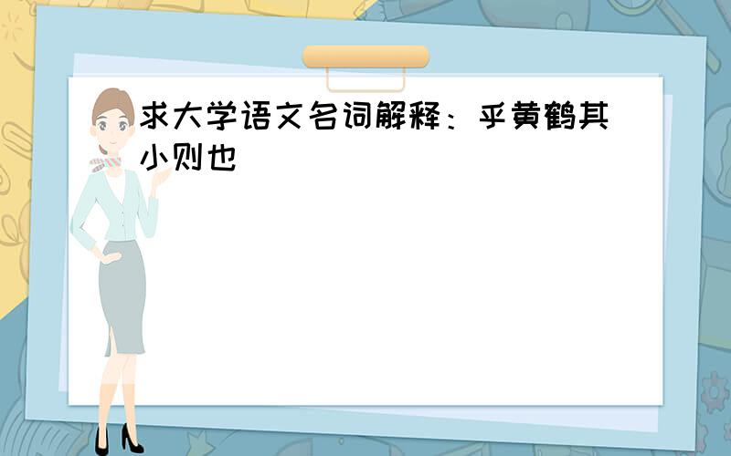 求大学语文名词解释：乎黄鹤其小则也