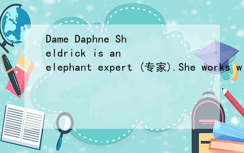 Dame Daphne Sheldrick is an elephant expert (专家).She works w