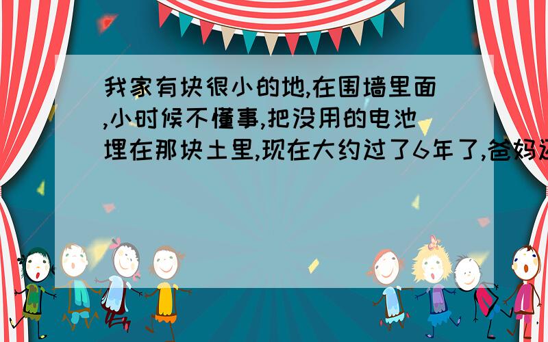 我家有块很小的地,在围墙里面,小时候不懂事,把没用的电池埋在那块土里,现在大约过了6年了,爸妈还