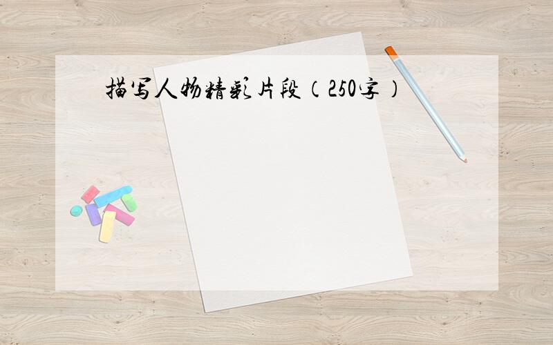 描写人物精彩片段（250字）