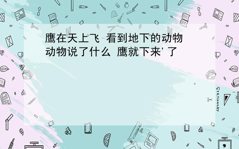 鹰在天上飞 看到地下的动物 动物说了什么 鹰就下来'了