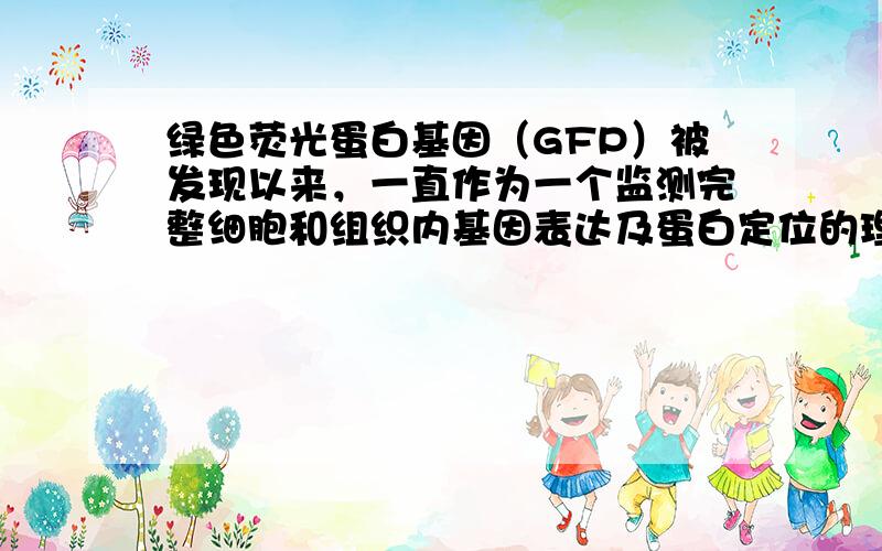 绿色荧光蛋白基因（GFP）被发现以来，一直作为一个监测完整细胞和组织内基因表达及蛋白定位的理想标记．根据右面的图表回答下