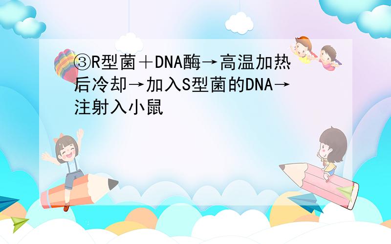 ③R型菌＋DNA酶→高温加热后冷却→加入S型菌的DNA→注射入小鼠