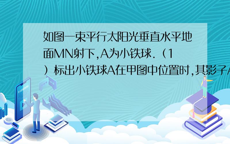 如图一束平行太阳光垂直水平地面MN射下,A为小铁球.（1）标出小铁球A在甲图中位置时,其影子A′在地面MN上的位置（用点