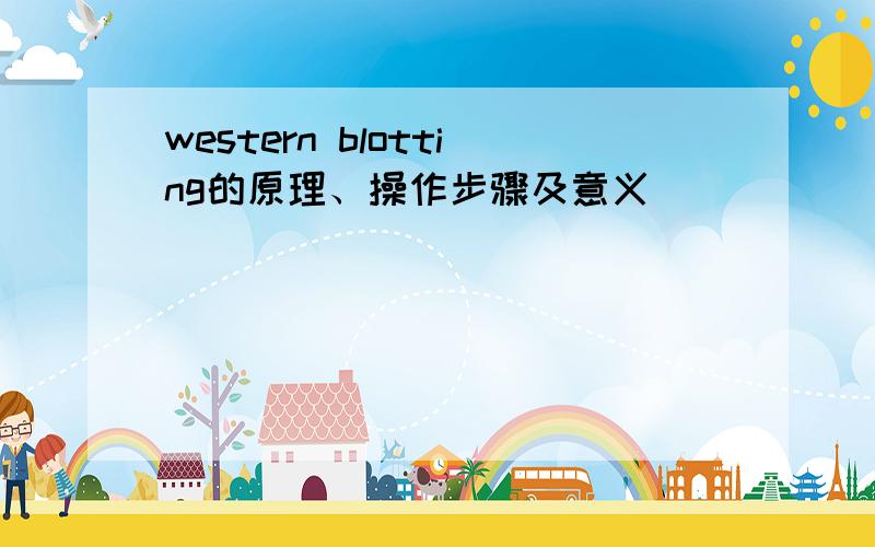 western blotting的原理、操作步骤及意义