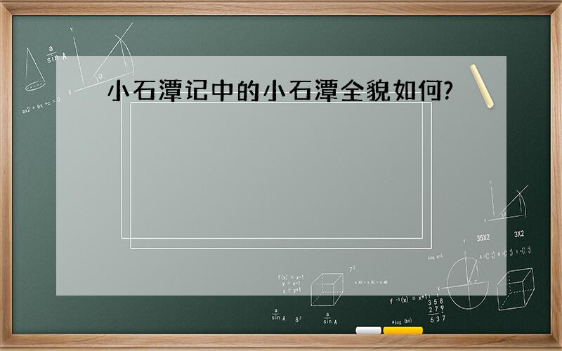 小石潭记中的小石潭全貌如何?