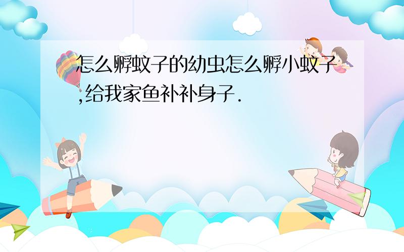 怎么孵蚊子的幼虫怎么孵小蚊子,给我家鱼补补身子.