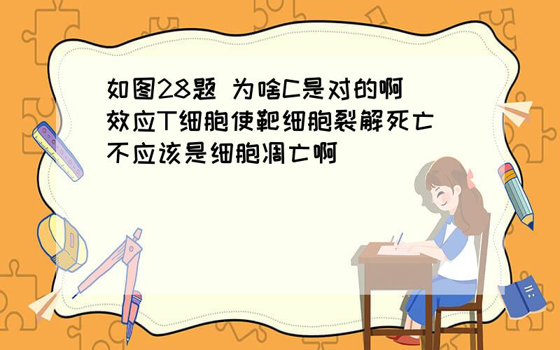 如图28题 为啥C是对的啊 效应T细胞使靶细胞裂解死亡 不应该是细胞凋亡啊