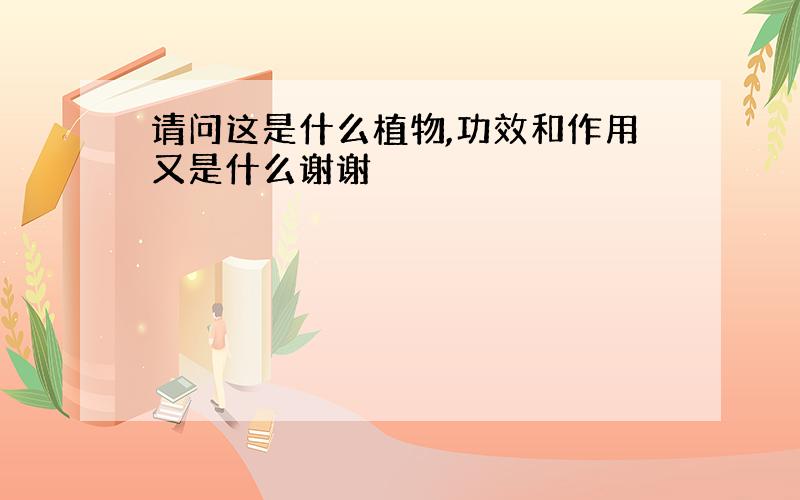 请问这是什么植物,功效和作用又是什么谢谢