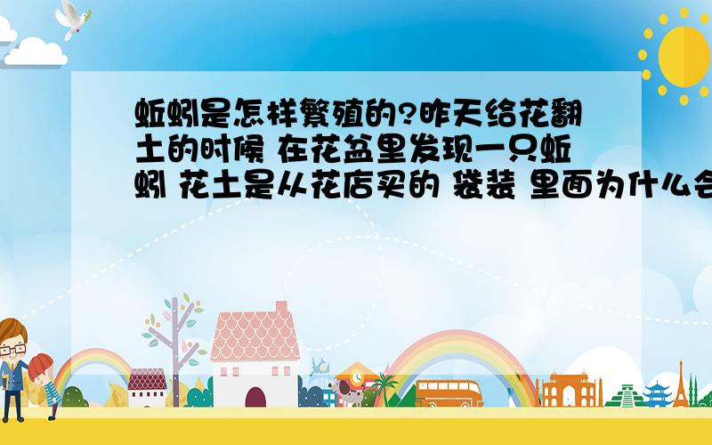 蚯蚓是怎样繁殖的?昨天给花翻土的时候 在花盆里发现一只蚯蚓 花土是从花店买的 袋装 里面为什么会有蚯蚓呢?