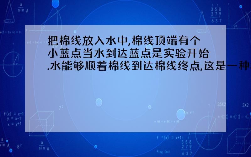 把棉线放入水中,棉线顶端有个小蓝点当水到达蓝点是实验开始.水能够顺着棉线到达棉线终点,这是一种科学现象,你知道是什么现象